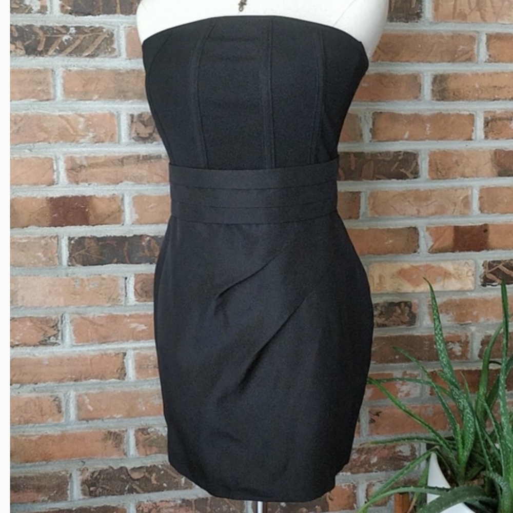 Alice and Olivia Corset mini dress